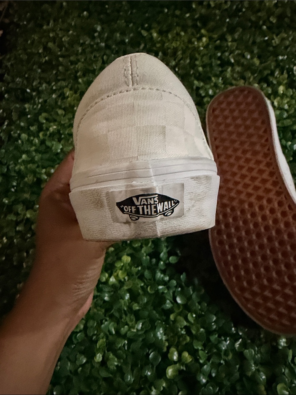 Vans - Picture 4 of 6
